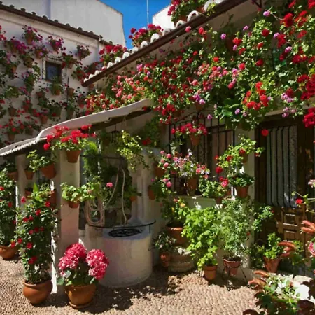 Con Parking Privado Gratis Incluido Appartamento *