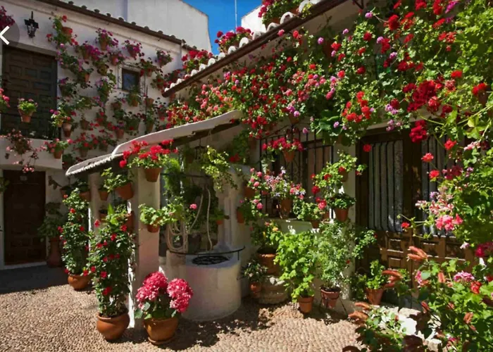 Con Parking Privado Gratis Incluido Apartamento *